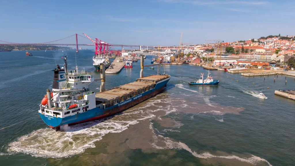 Container vessel arriving to Navalrocha